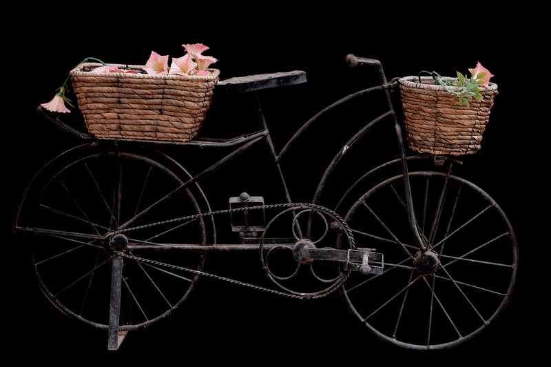 Bicycle Wheel Trellis